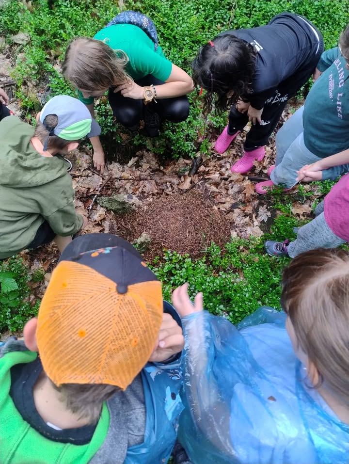 Wydarzenie w świetlicy