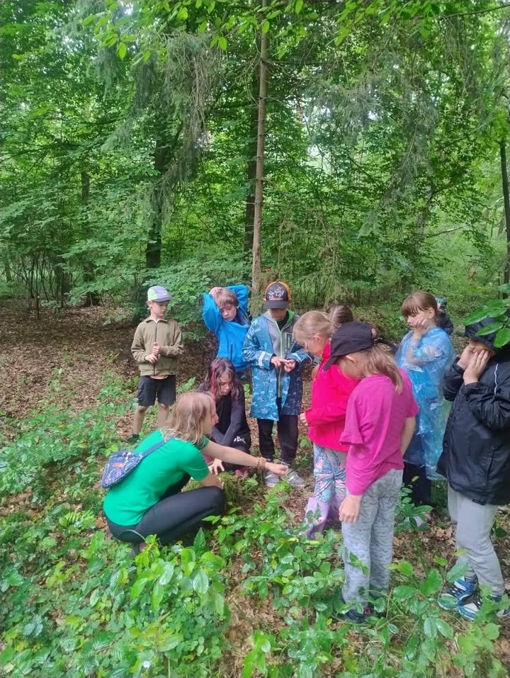 Leśny Dzień Dziecka w Chrząstawie Wielkiej 🌿🔥🍕 dla Starszaków :)

Tegoroczny Dzień Dziecka  świętowaliśmy w wyjątkowy i nietuzinkowy sposób — w samym sercu lasu w Chrząstawie Wielkiej, razem z niezwykłą ekipą z fundacji eduForest. Dziewczyny z fundacji EduForest stworzyły prawdziwie magiczną, przygodową przestrzeń, w której dzieci mogły dać się ponieść naturze i wyobraźni.

W planie dnia nie zabrakło atrakcji — dzieci własnoręcznie rozpalały ognisko, zbierały drewno, tropiły leśne zwierzęta, konstruowały lalki z traw i kwiatów, a także pokonywały pełen wyzwań leśny tor przeszkód. Był nawet moment ciszy 😅 gdy nasi uczestnicy wsłuchiwali się w "las".
Mimo że chwilami kropił deszcz, nikt nawet nie zwrócił na to uwagi — tak dużo było radości, śmiechu i zabawy!

Na zakończenie spotkanie czekała kulinarna niespodzianka — prawdziwa włoska pizza przygotowana wspólnie nad ogniskiem! 
Było trochę brudzenia się, dużo śmiechu, mnóstwo zdrowych słodkości i jeszcze więcej pięknych wspomnień. Każdy otrzymał pamiątkowy medal i drobny upominek 🏅

Dziękujemy fundacji EduForest za serce, energię i pasję. Dziewczyny — jesteście niesamowite! 🌲❤️