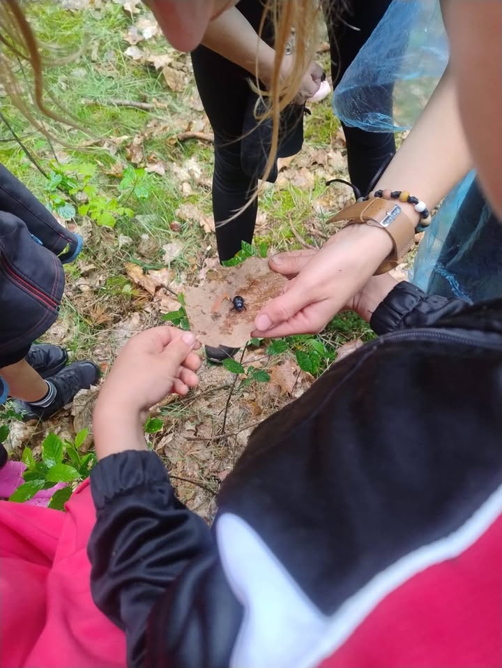 Wydarzenie w świetlicy