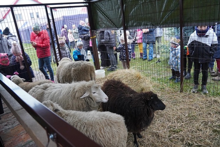 Wydarzenie w świetlicy